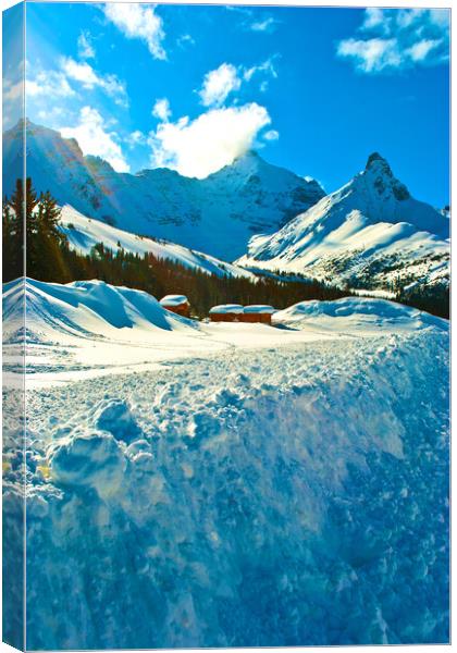 Spectacular Canadian Rockies: Icefields Parkway Canvas Print by Andy Evans Photos