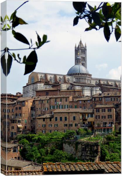 Siena Skyline Cityscape Tuscany Italy Canvas Print by Andy Evans Photos