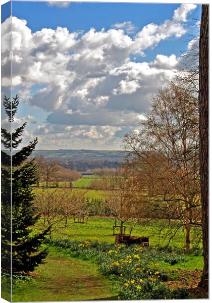 Batsford Arboretum Moreton In Marsh Cotswolds UK Canvas Print by Andy Evans Photos