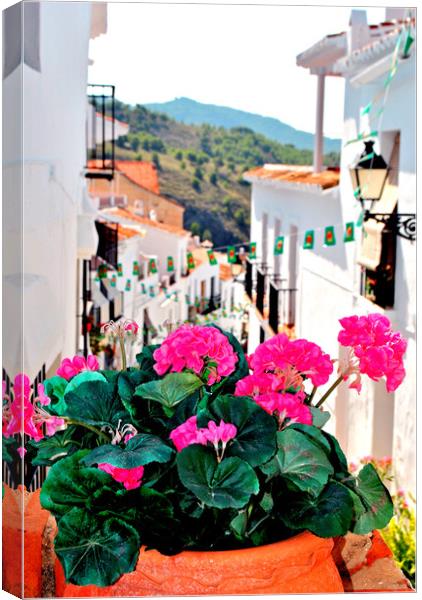 Frigiliana Andalusia Costa del Sol Spain Canvas Print by Andy Evans Photos