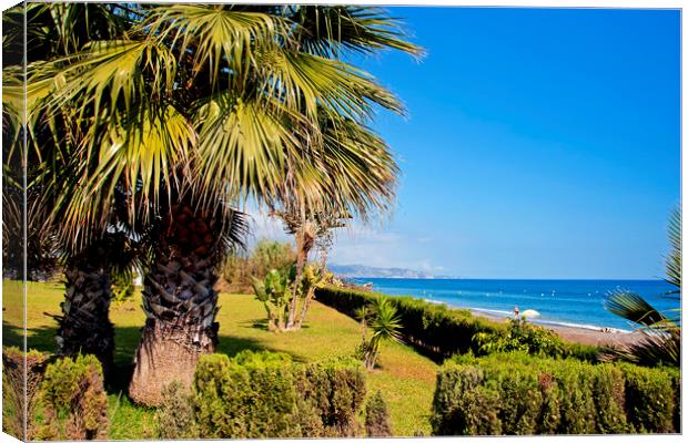 Palm trees Torrox Costa del Sol Spain Canvas Print by Andy Evans Photos