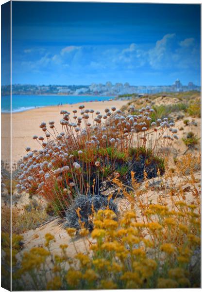 Praia dos Salgados The Algarve Portugal Canvas Print by Andy Evans Photos