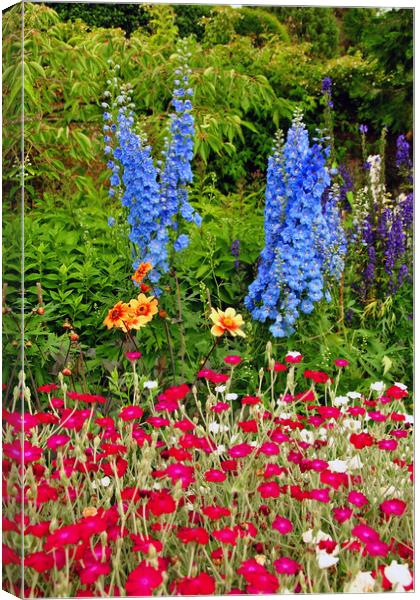 Blue Delphiniums Summer Flowers Canvas Print by Andy Evans Photos