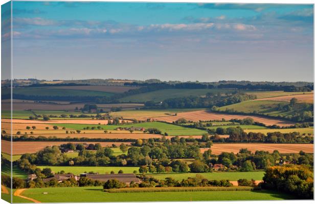 South Downs Beacon Hill Hampshire England Canvas Print by Andy Evans Photos