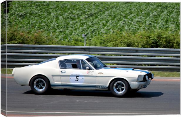 Shelby Ford Mustang 350 GT Sports Car Canvas Print by Andy Evans Photos