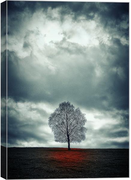 The loneliness  of hopelessness..... Canvas Print by martin kimberley