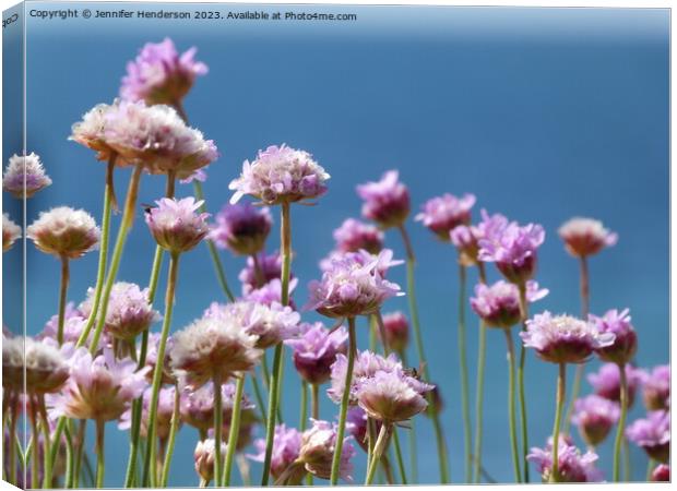 Sea Pinks Canvas Print by Jennifer Henderson