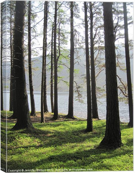 Loch Muick through the Trees Canvas Print by Jennifer Henderson