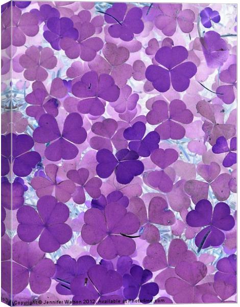 Purple forest floor Canvas Print by Jennifer Henderson