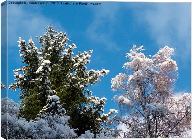 Snowy Treetops Canvas Print by Jennifer Henderson