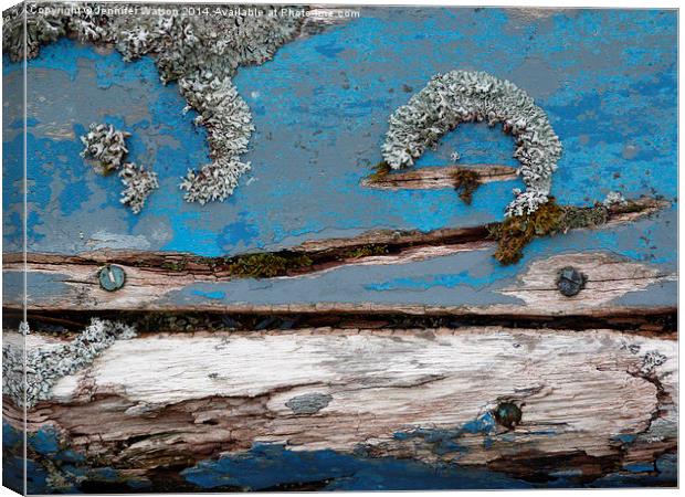 Blue Lichen Canvas Print by Jennifer Henderson