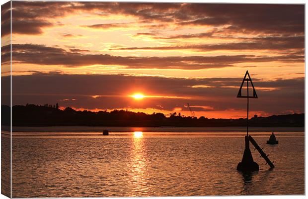 bathed in golden light Canvas Print by mark pettican