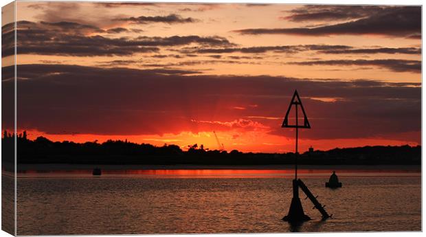 golden rays Canvas Print by mark pettican