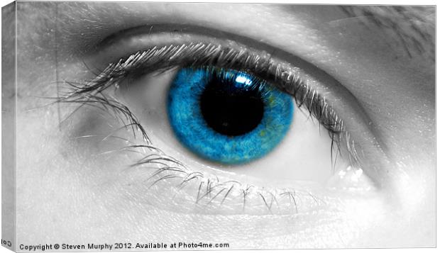 Eye Spy Canvas Print by Steven Murphy