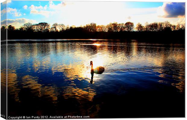 Lone swan Canvas Print by Ian Purdy