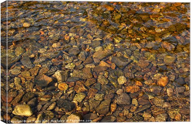 Pebbles through water Canvas Print by Ian Purdy