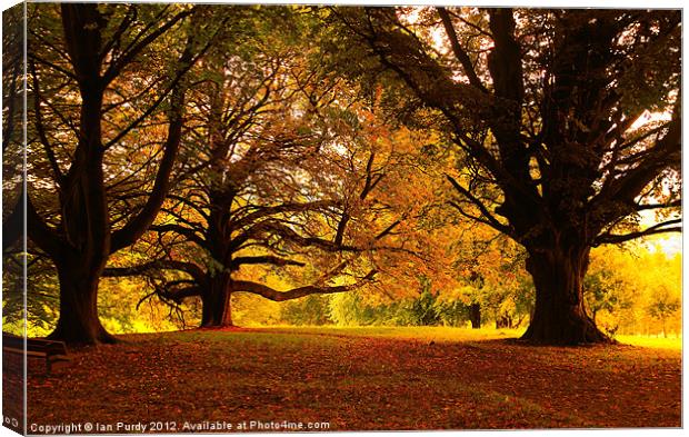 End of Summer Canvas Print by Ian Purdy