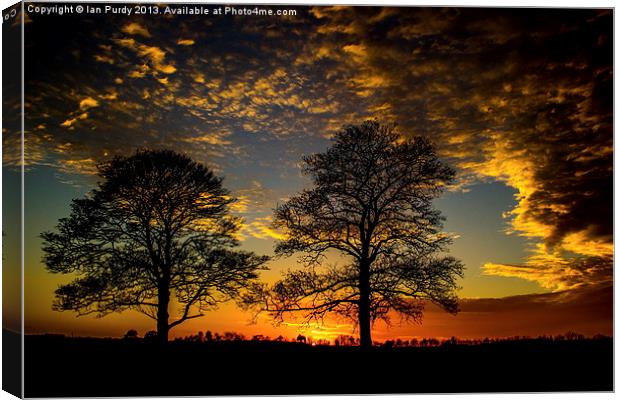 Two Trees at sunset Canvas Print by Ian Purdy