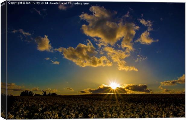 Spring field Canvas Print by Ian Purdy