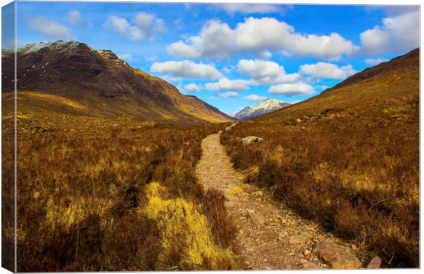  Path to the mountains Canvas Print by Ian Purdy