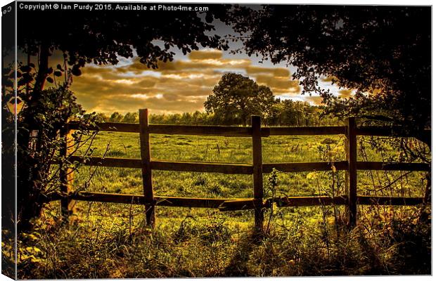  Over the fence Canvas Print by Ian Purdy