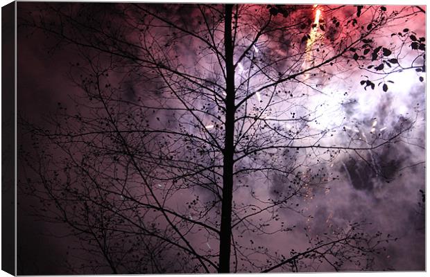 Enlightened Tree Canvas Print by Will Holme