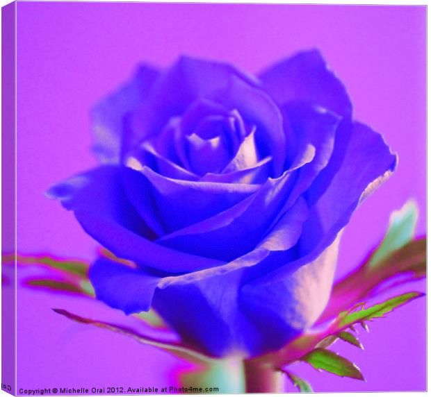 Blue Rose Canvas Print by Michelle Orai