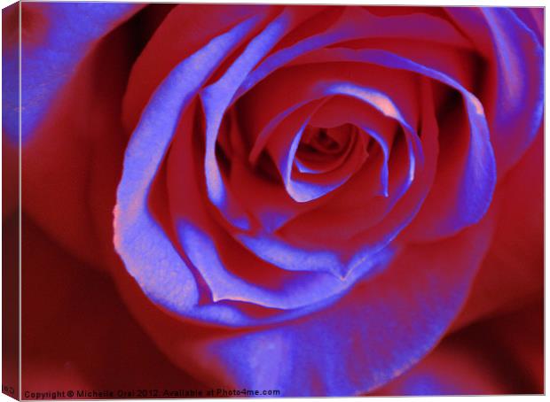 Red and Blue Rose Canvas Print by Michelle Orai