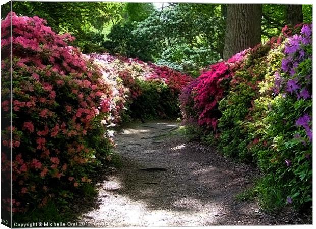 Isabella Plantation Canvas Print by Michelle Orai