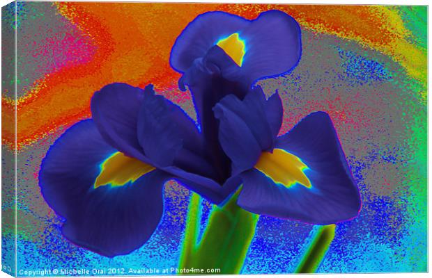 Psychedelic Iris Canvas Print by Michelle Orai
