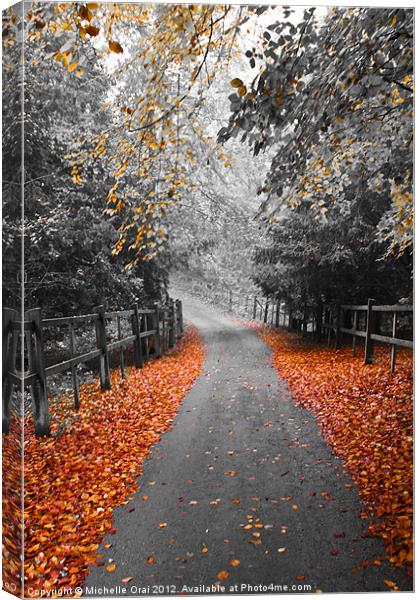 Autumn Path Canvas Print by Michelle Orai
