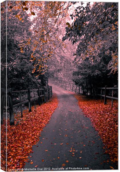 Into the Autumn Mist Canvas Print by Michelle Orai