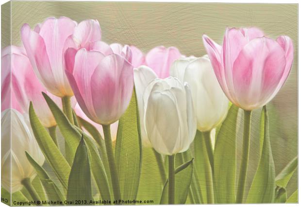 Translucent Tulips Canvas Print by Michelle Orai