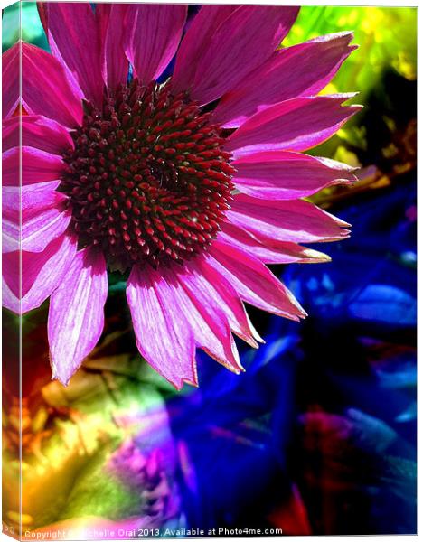 Psychedelic Daisy Canvas Print by Michelle Orai