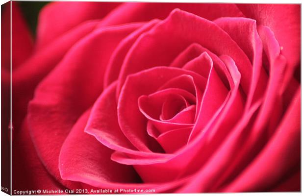 Perfect in Pink Canvas Print by Michelle Orai