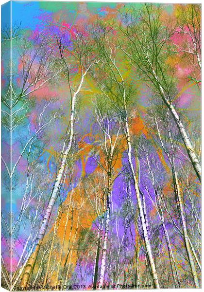 Silver Birch Canvas Print by Michelle Orai