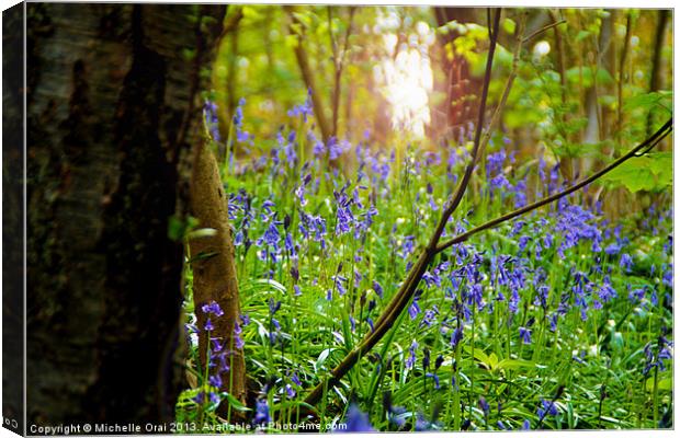 Bluebell Grotto Canvas Print by Michelle Orai