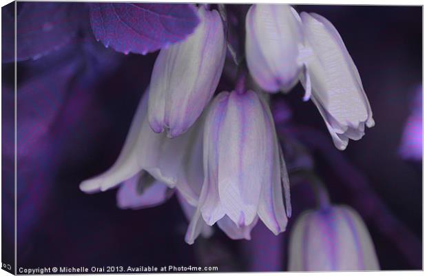 Purple Bluebells Canvas Print by Michelle Orai