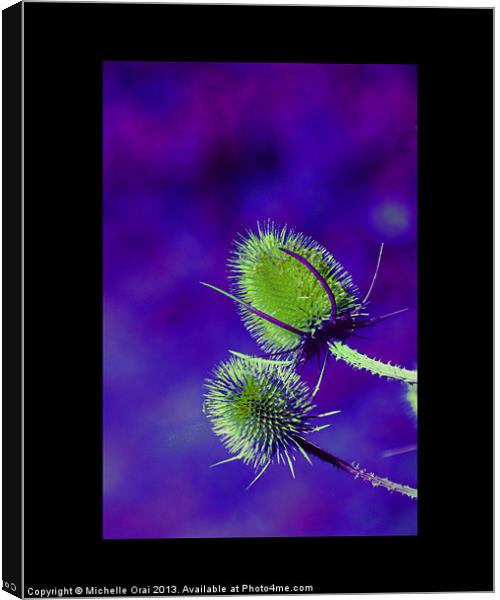 Green and Purple Teasel Canvas Print by Michelle Orai