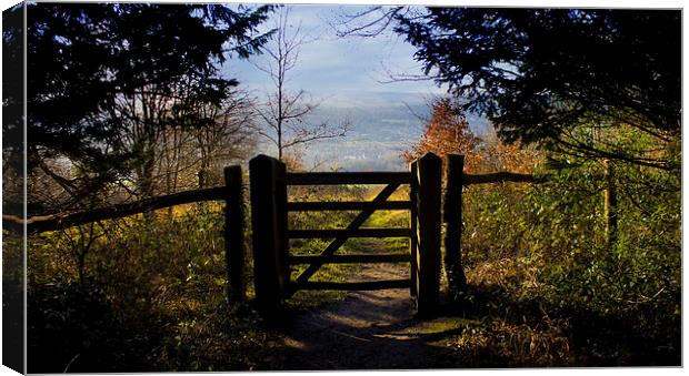 Gateway to the countryside Canvas Print by Michelle Orai