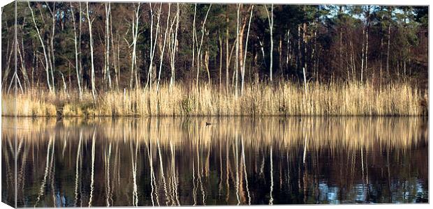 Reflections in Lake Canvas Print by Michelle Orai