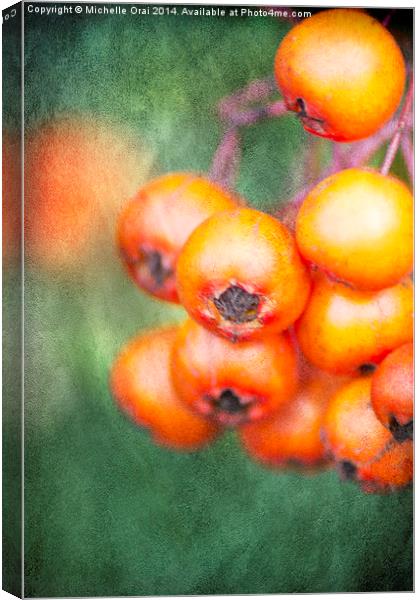 Orange Winter Berries Canvas Print by Michelle Orai