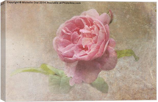 Vintage Rose Canvas Print by Michelle Orai
