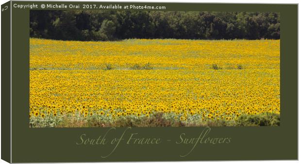South of France Sunflowers Canvas Print by Michelle Orai