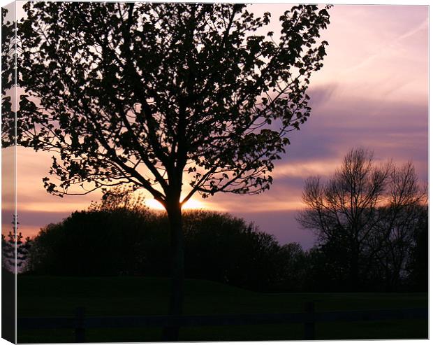 sunset behind the woodland Canvas Print by dennis brown