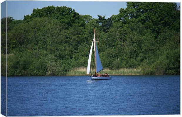 Yachting on the Norfolk broads Canvas Print by dennis brown