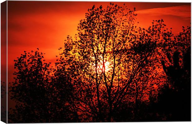 Norfolk summer sunset Canvas Print by dennis brown