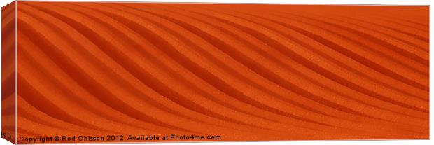 Earthwave Canvas Print by Rod Ohlsson