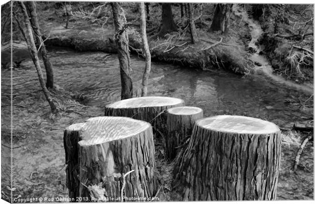 Stumped BW Canvas Print by Rod Ohlsson