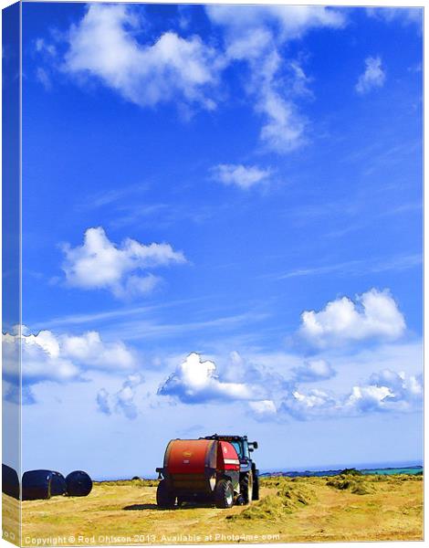 Haymaking Canvas Print by Rod Ohlsson